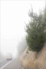 viaje en la niebla.jpg